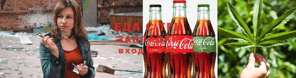 дмт Алзамай