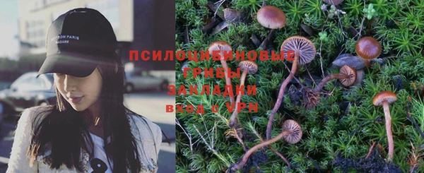 СК Нея