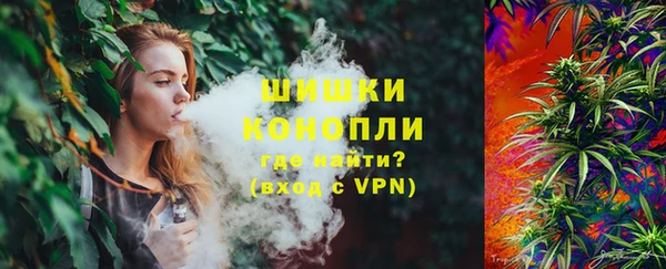 дмт Алзамай