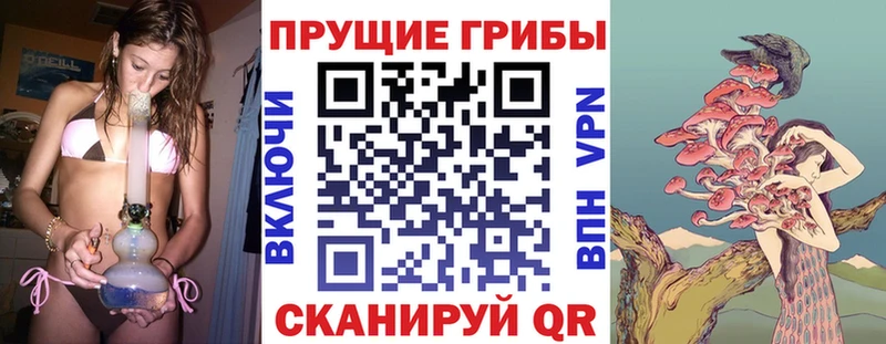 Псилоцибиновые грибы Magic Shrooms  Полярные Зори 